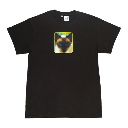 Cheshire Cat Tee (Brown)