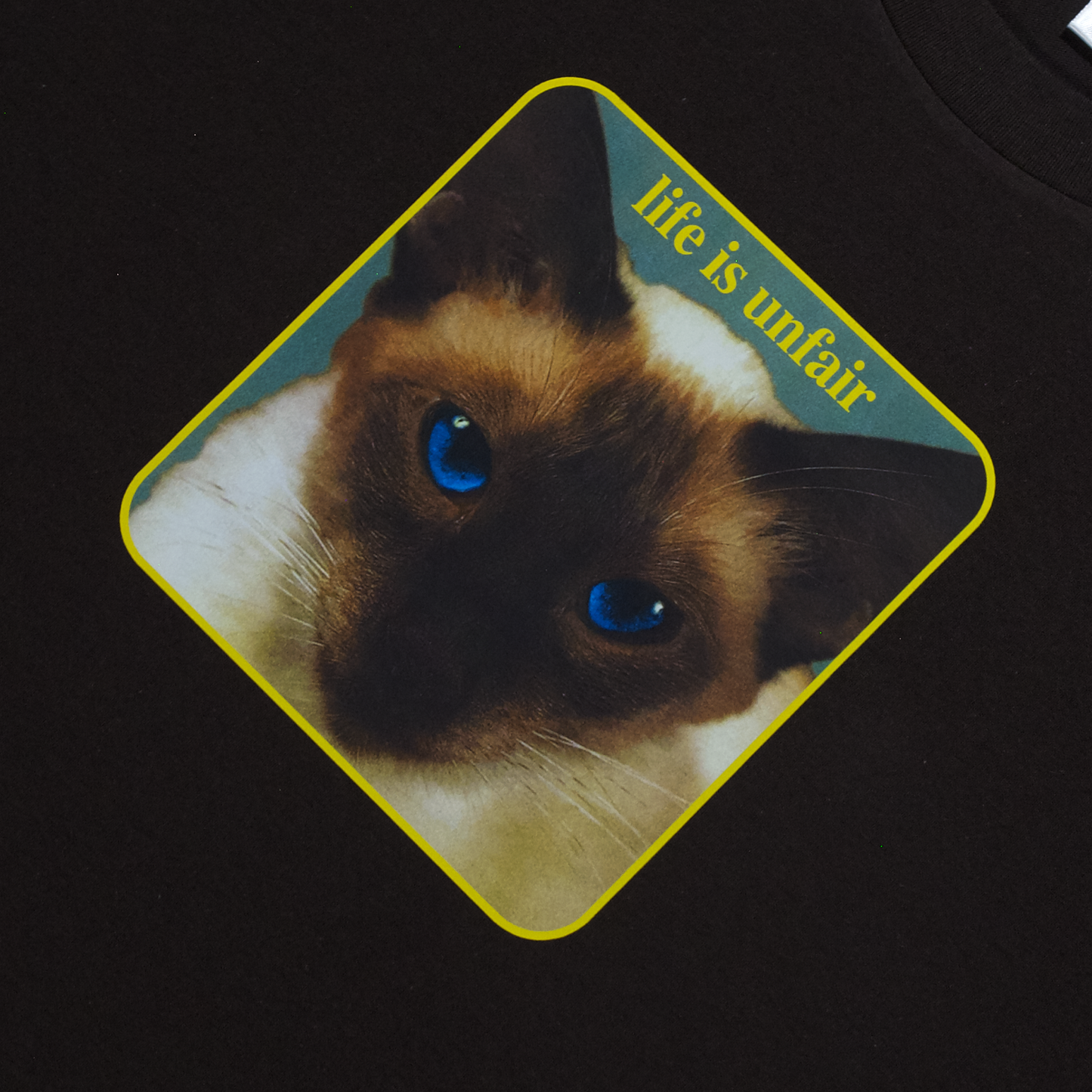 Cheshire Cat Tee (Brown)