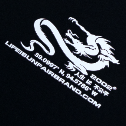 $10 Dragon Coordinates Tee (Black)